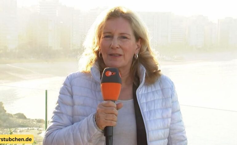 Patricia Wiedemeyer: ZDF-Journalistin ohne offiziellen Wikipedia-Eintrag