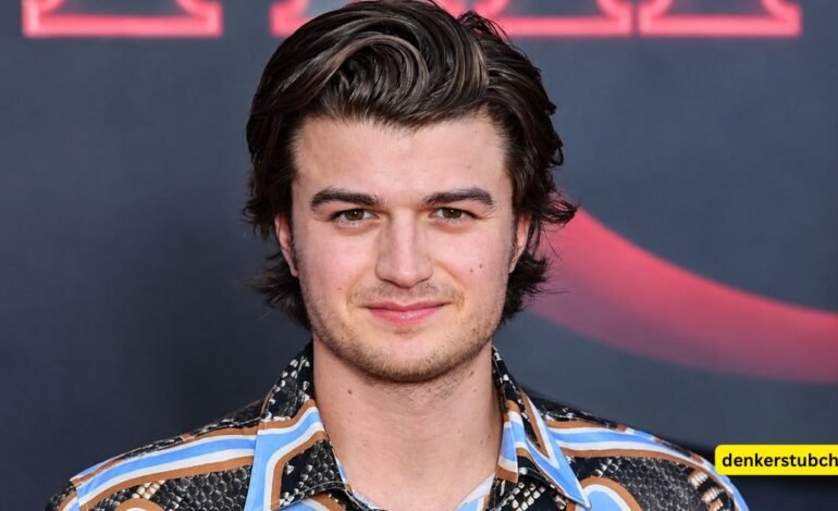 Joe Keery Freundin: Ist der „Stranger Things“-Star 2026 vergeben?